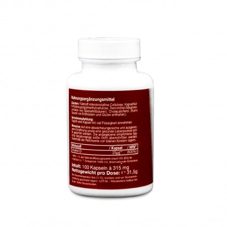 Vitamin D3 Vegan Tabletten 100 Stk